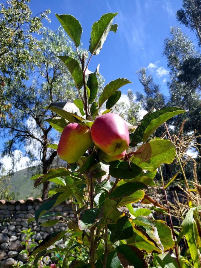 Casa De Mama Valle - Urubamba Esterno foto