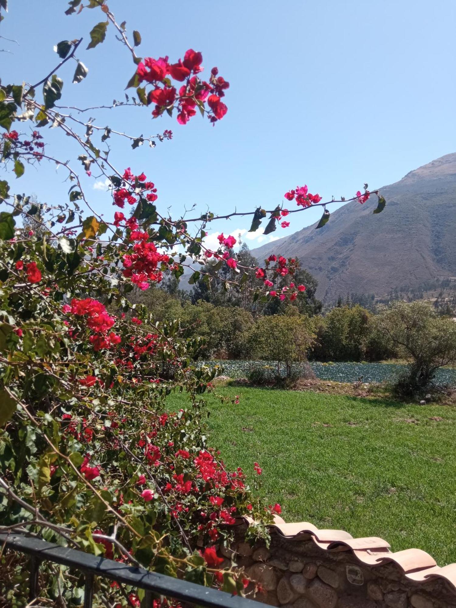 Casa De Mama Valle - Urubamba Esterno foto